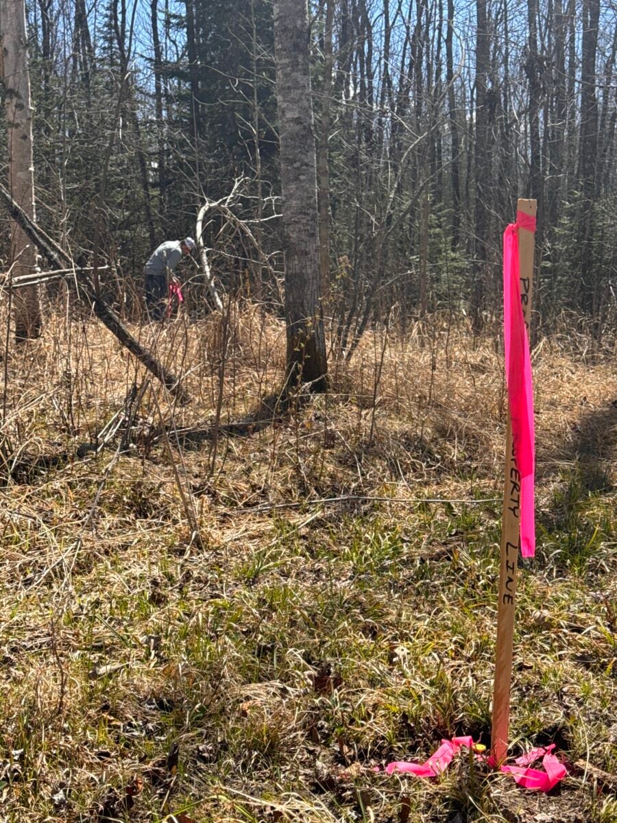 A wooden stake marked "PROPERTY LINE" with pink survey tape is in the foreground of a grassy, wooded area. In the background, a person is seen tying pink tape to a tree. Leafless trees surround the scene.
