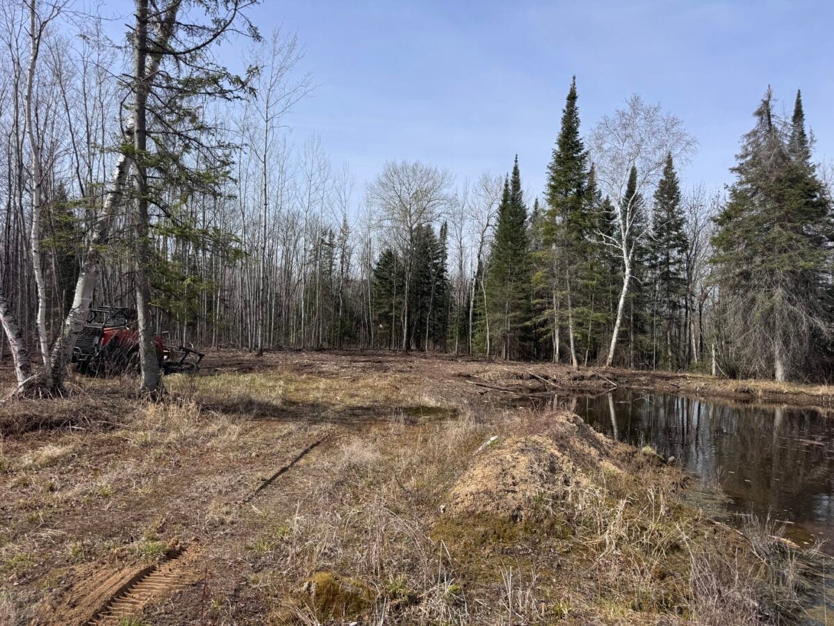 A partially cleared area in a forest on 160 acres near Kelliher, MN, with mixed evergreen and leafless trees, muddy ground, and a small pond. A red vehicle or machinery is visible on the left side near the trees. The sky is clear.