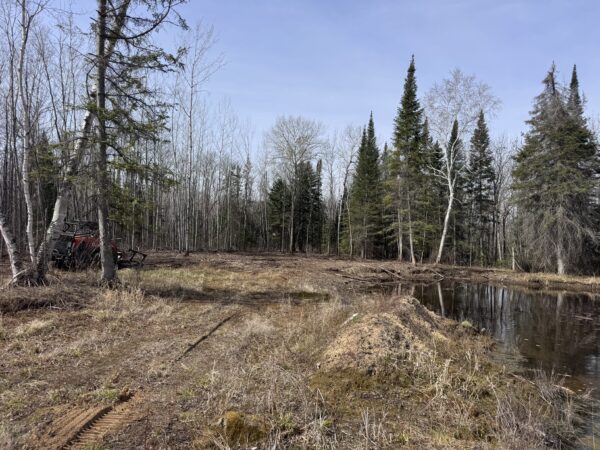 A partially cleared area in a forest on 160 acres near Kelliher, MN, with mixed evergreen and leafless trees, muddy ground, and a small pond. A red vehicle or machinery is visible on the left side near the trees. The sky is clear.