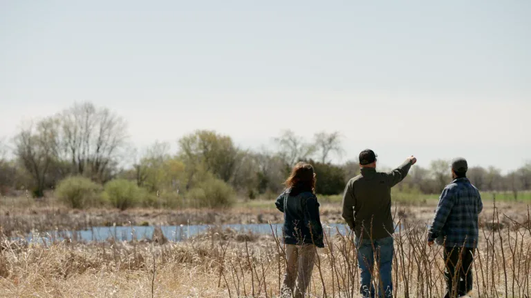 Three people stand in a field of dry grass near a pond, observing the landscape as one points toward the distance—an example of transformation land management (TLM). Trees and bushes are visible in the background under a clear sky.