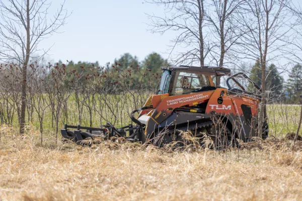 An orange transformation land management machine with "Transformation Land Management" and "TLM" logos is clearing a grassy field near leafless trees and tall dry grass, with lush green vegetation in the background.