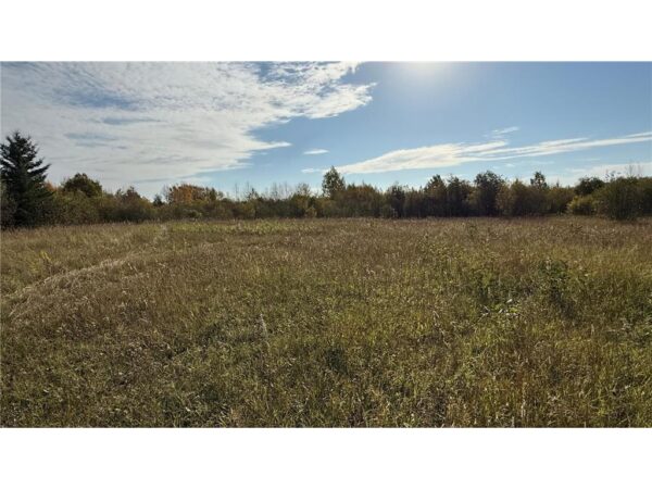 A grassy field with tall, dry grass under a partly cloudy sky stretches across 80 Acres near Northome MN. Trees with some autumn foliage line the horizon, and sunlight is visible in the upper right corner of the image.