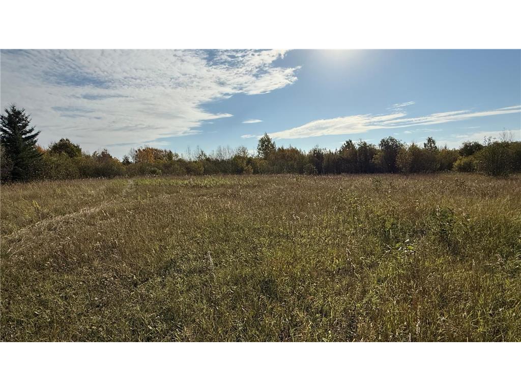 A grassy field with tall, dry grass under a partly cloudy sky stretches across 80 Acres near Northome MN. Trees with some autumn foliage line the horizon, and sunlight is visible in the upper right corner of the image.