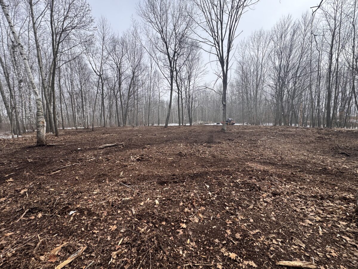 A cleared forest area with bare soil, scattered leaves, and tree trunks. Leafless trees stand in the background under an overcast sky, with a small piece of orange machinery visible in the distance.